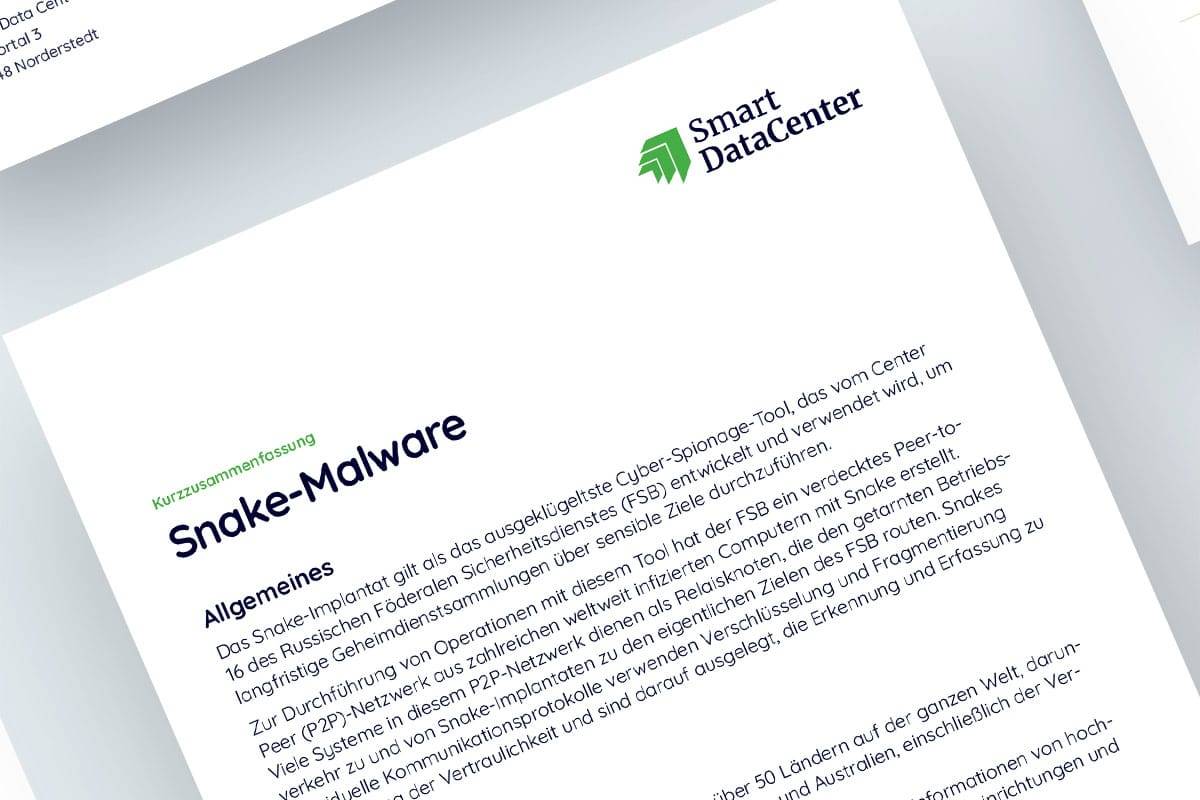 Excerpt from the short summary of the snake malware from Smart Data Center, PDF for download, German version